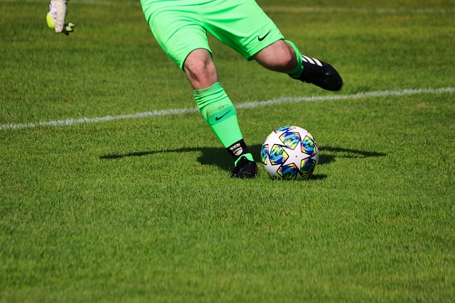 吸引了不少 吸引了不少