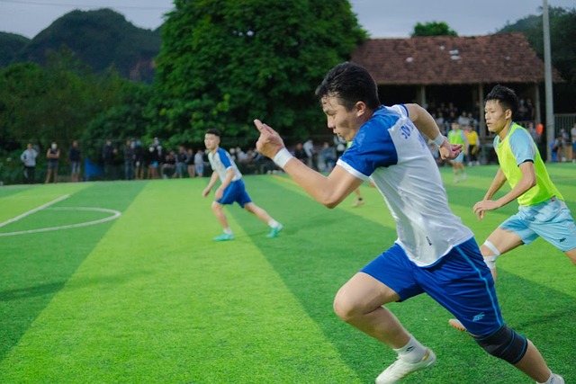 裁决可能影 裁决可能影