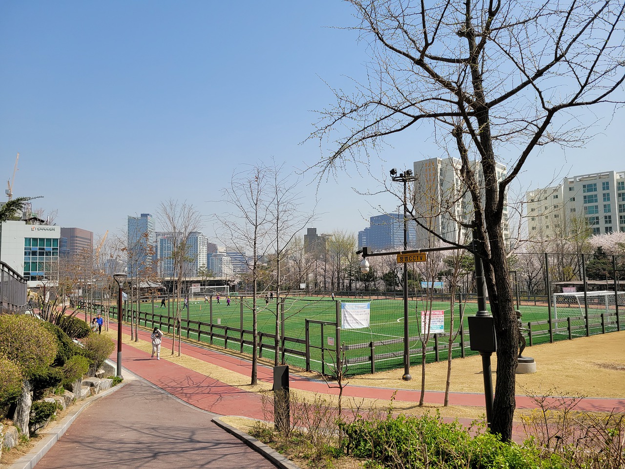 拉迪卡努 拉迪卡努