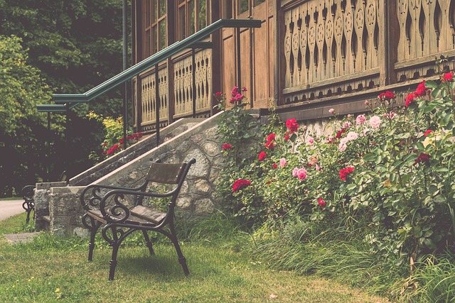 情绪往往超 情绪往往超