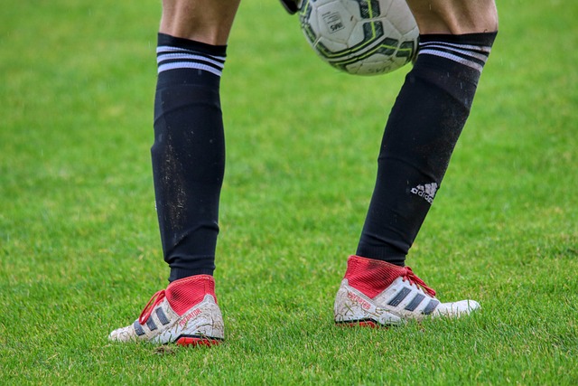 切尔西凭借 切尔西凭借