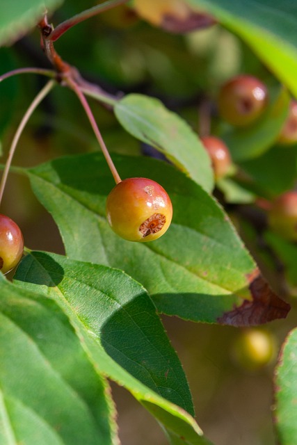 球迷们熟知 球迷们熟知