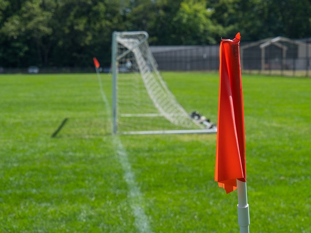 证明了自己 证明了自己