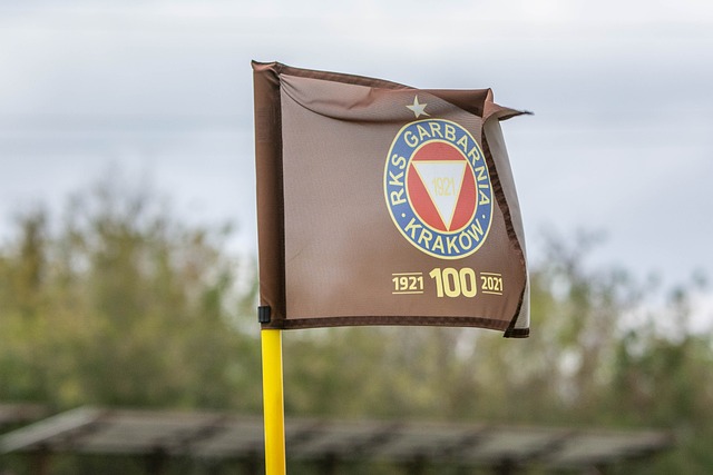 的比分艰难 的比分艰难